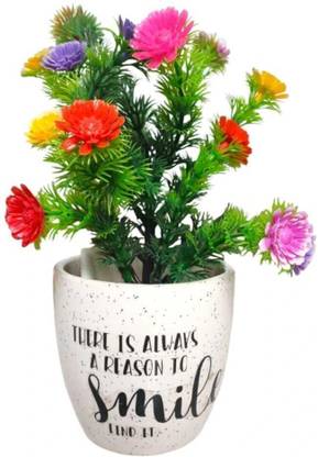 MUMU Ceramic Pot with Quotes for Indoor & outdoor Plants | Reason To Smile Find It | Plant Container Set