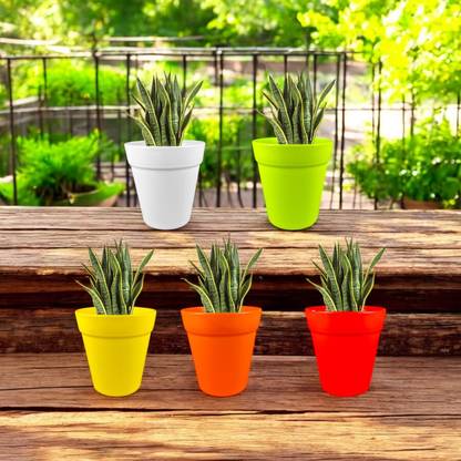 Garden's Need 4 Inch(10.16cm) Round Excal Flower Pot Plastic Planter Perfect Use for Versatile Plant Container Set