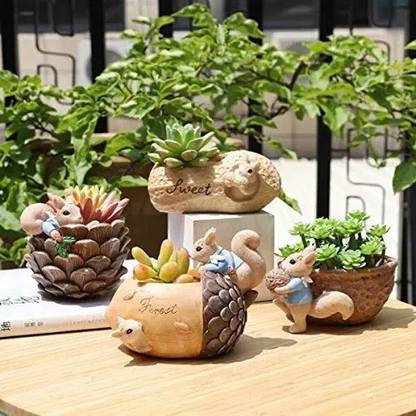 Pancikaa Cute Squirrel Fleshy Planter Pot Handpicked Beauty Enhancer Design Without Plant Plant Container Set