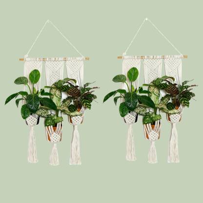 lazy gardener Tai Chi Macramé Hanger (Pack of 2) Plant Container Set