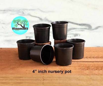 bloomaura Plant Container Set