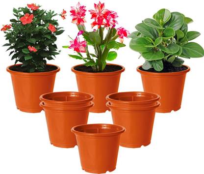 KUBER INDUSTRIES Durable Plastic Flower Pot|Gamla With Drain Holes ,6"x5",Pack of 8 (Orange) Plant Container Set