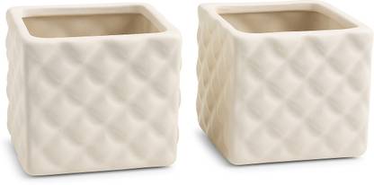 SajaoStore Plant Container Set