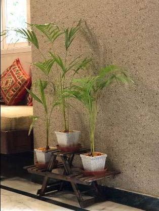 MartXZ Plant Stand Multipurpose Living Room Flower Pot Stool Folding Wood Decorative Platter