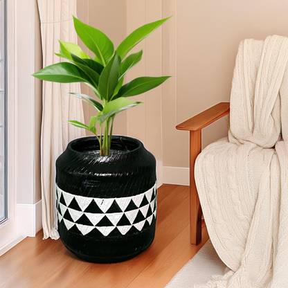 HUNAR TRIBE Large Indoor Planter for Living Room - Stylish Plant Pots for Indoor Plants Plant Container Set