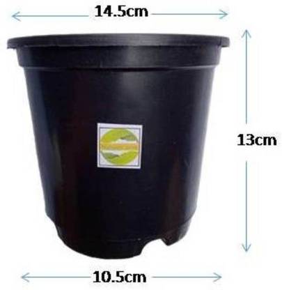 Natures Work Grow Cup 5" for seed or Plant Growing (Set of 10 Cups) Plant Container Set