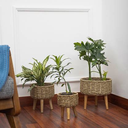 DecorTwist Handmade Seagrass Jute Rope Planter Natural Plant Basket with Stand Set of 3 Plant Container Set