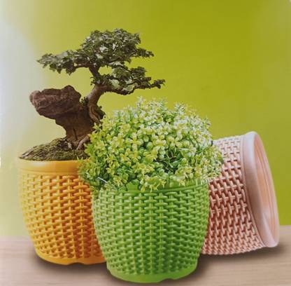 BALAJI TRADERS ROHATK Plant Container Set