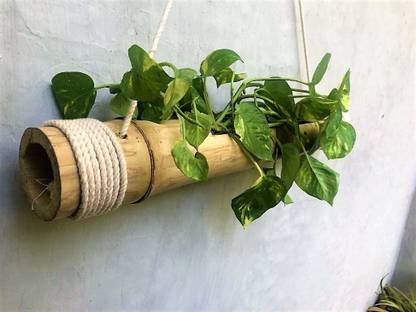 Parnita Plant Container Set