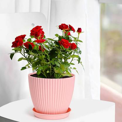 SOCHEP 10 inch Planter Pots for All Houseplants, Snake Plants, Multi colors Plant Container Set