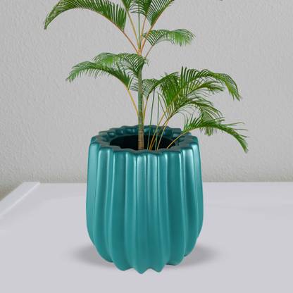 Kunda Plant Container Set
