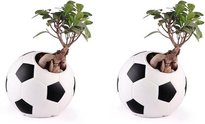 Fragrancia Unique Design Round Football Shape (9D x 20W x 20H cm) Plant Container Set