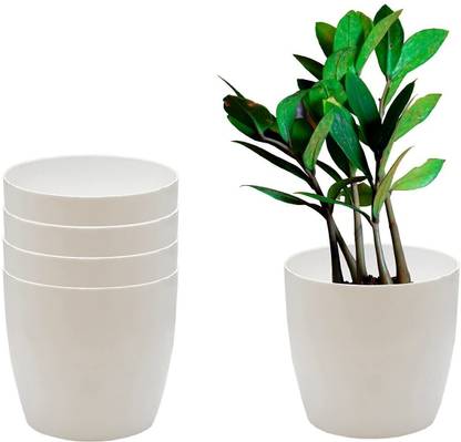 CACTUS VARIETIES Small Plant Pots For Home & Office Tables | Small Size White 4inch Plant Pots Plant Container Set