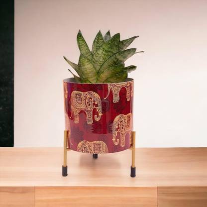 TCC Decorative Plant Pot With Elephant Design Plant Container Set