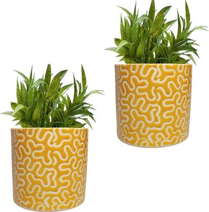 GPT Yellow RD-1 Pipe Ceramic Pot Size 4x4inch GH0022-09 Plant Container Set