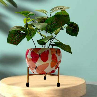 Deco Dream Plant container with stand apple shape-Mini Plant Container Set