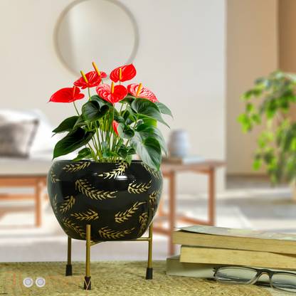 Bloomery Decorative Flower Pot Modern Geometric Design Plant Container Set