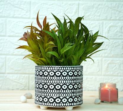 GOLD DUST Ceramic Pots for Plants, Ceramic Flower Pot Black Moroccan Plant Container Set