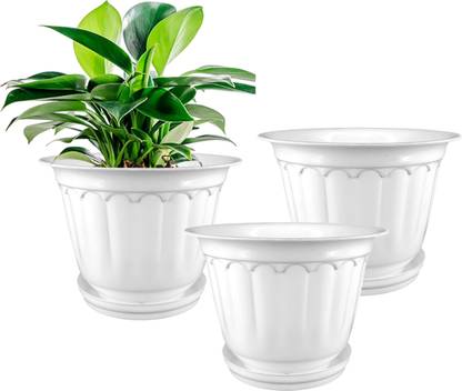 Garden's Need Jasmine_Pot Plant Container Set