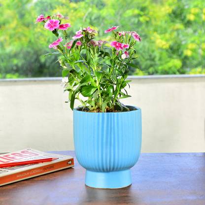 StyleMyWay Ribbed Ceramic Planter Pot (Blue, Diameter – 11.5 cm, Height – 13.5 cm) Plant Container Set