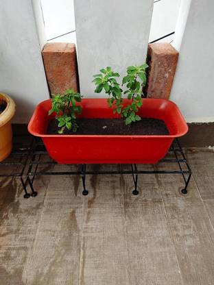 VINSHRA Rectangular Plastic Planter with plate 20 inch pcs 3 Heavy Duty Highly Gamla Plant Container Set