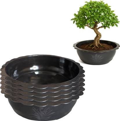 gurusamy Plant Container Set