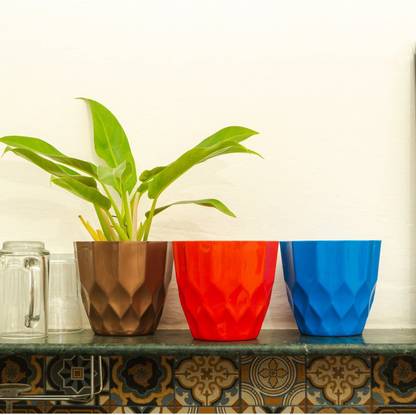 Kyari Plant Container Set