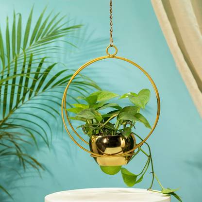 TrustBasket Lunar Eclipse Metal Hanging Planter (Set of 1) Plant Container Set