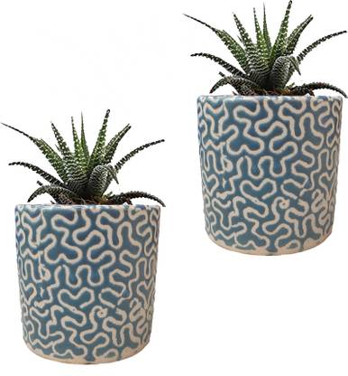 Gupta Light Blue RD Pipe Ceramic Pot Size 4x4inch GH0022-03_Packof2 Plant Container Set