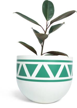 Planterra Triangular Tint Planter: Stylish Flower Pots for Home, Terrace, and Garden Plant Container Set