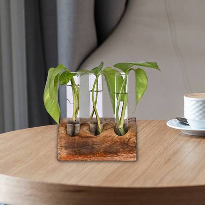 AppEasy 3 Glass Tube Plant Propagation Station With Wooden Stand for Home Décor. Plant Container Set