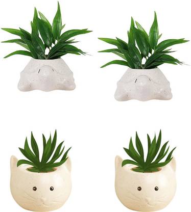 Bamboo & Beyond Turtle & Cat Ceramic Planter Table Top Indoor/Outdoor/Garden Plant Not Included Plant Container Set