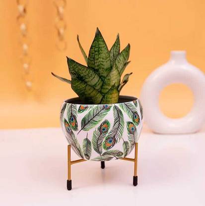Everything Creatives Unique Design Printed Pot with Stand, Powder Coated Metal Plant Container Set