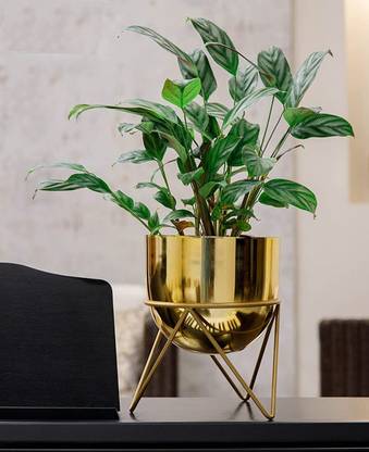 Neumark Impex flower pot Plant Container Set