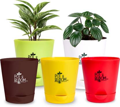 Pot and Bloom 4-inch self watering pots, Pack of 5, Red, Yellow, Brown, White, Green Plant Container Set