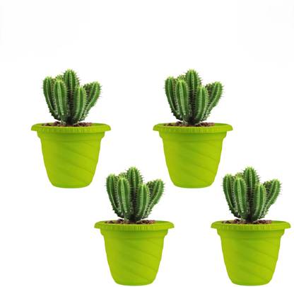 Dervino Fancy Flower Pots for Home & Decoration Planters Terrace, Garden Multicolor Plant Container Set