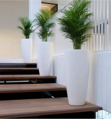 CLOKIFY Plant Container Set