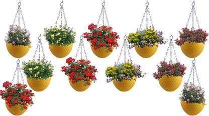 Zobby Ceiling Hanging Pots For Home / Office / Patio / Balcony / Terrace Plant Container Set