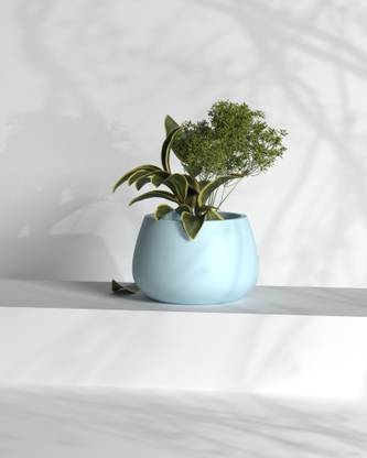 TheWorkshops BLOB L|GULMARGWINTERS|Best Quality Planter|FRP Planters|Ultra Durable Palnters| Plant Container Set