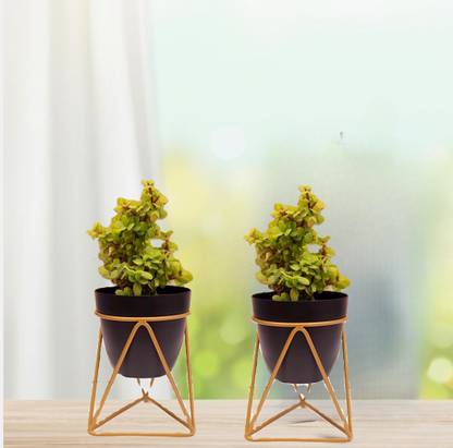 CS3HUB Decorative Design Black Planter Pot with Metal Stand for Home and Garden Plant Container Set