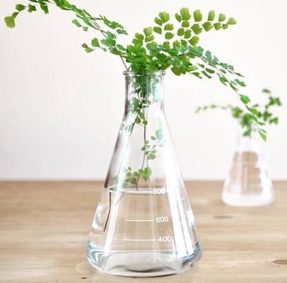Harble Harble Transparent Pot for Plant Propagation ( Plant Container Set
