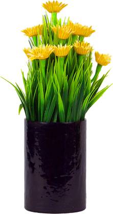 Flipkart SmartBuy Glass pot for office | home décor |planter (01) Plant Container Set
