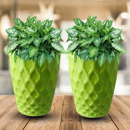 Blooming Enterprises 2pc Royal Design 8inch Diameter Plastic Pots Green Plant Container Set