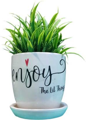 MUMU Medium Size Ceramic Pot with Quotes for Indoor Plants | Enjoy The Lil Things | Plant Container Set