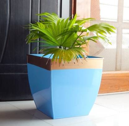 lifestyle art Metal pot galma Plant Container Set