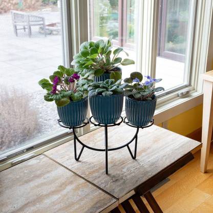 ICON CREATION Modern Design Flower Pots Stand Plant Stand Table Stand for Succulent plant Plant Container Set