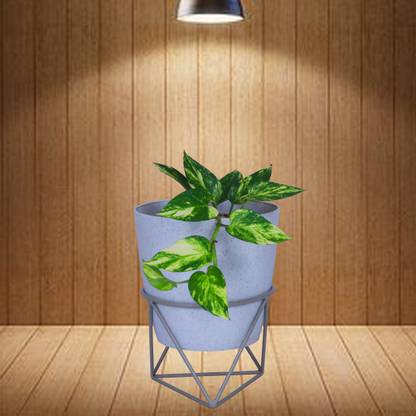 D&V ENGINEERING Iron Unique Triangle Based Pot/Plant Stand for Home Garden or Balcony décor, White -1piece Plant Container Set