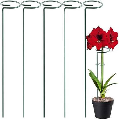 Green Gardenia 16 inches Metal Plant, Super Long and Strong Plant Support, Black-set of 5 Plant Container Set