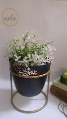 Rachayata creative almas Metal Decorative planter/pot Black with signature leaf & metal stand Plant Container Set