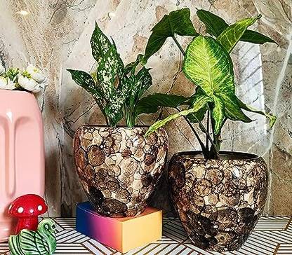Niyara Grey Medium Ceramic Pots combo (set of 2) (Color: Grey) Size - 6 inches Plant Container Set